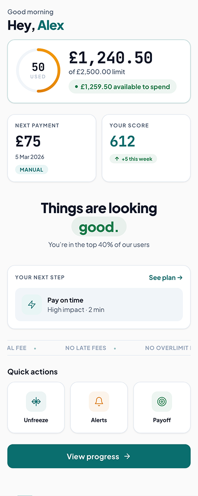 Code experiment 5: Light theme, teal accent, polished layout